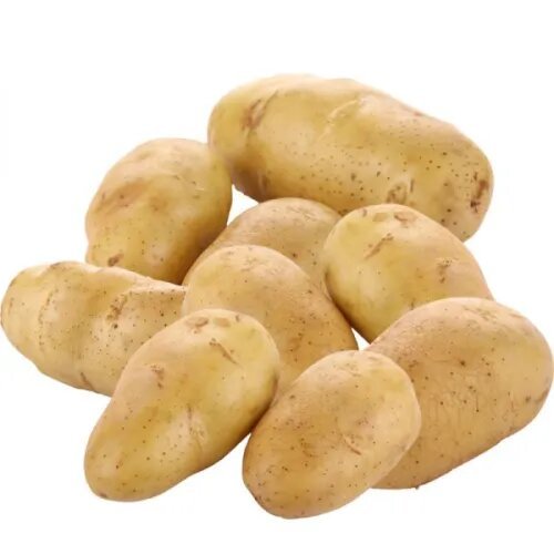 Holland Fresh Potatoes For Sale – GDM Trading GmbH